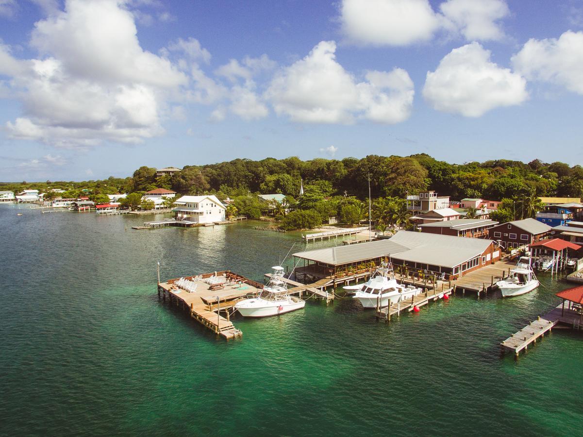 Utila Lodge Exteriér fotografie